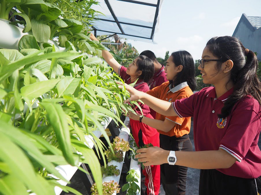 Taking Care Hydroponics Garden - One Earth School - Schooling for Life ...